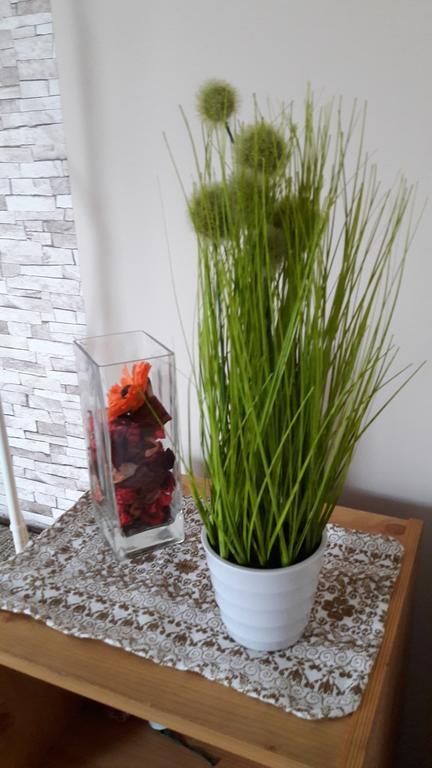 Apartament Vendel Terasz Budapeszt Zewnętrze zdjęcie